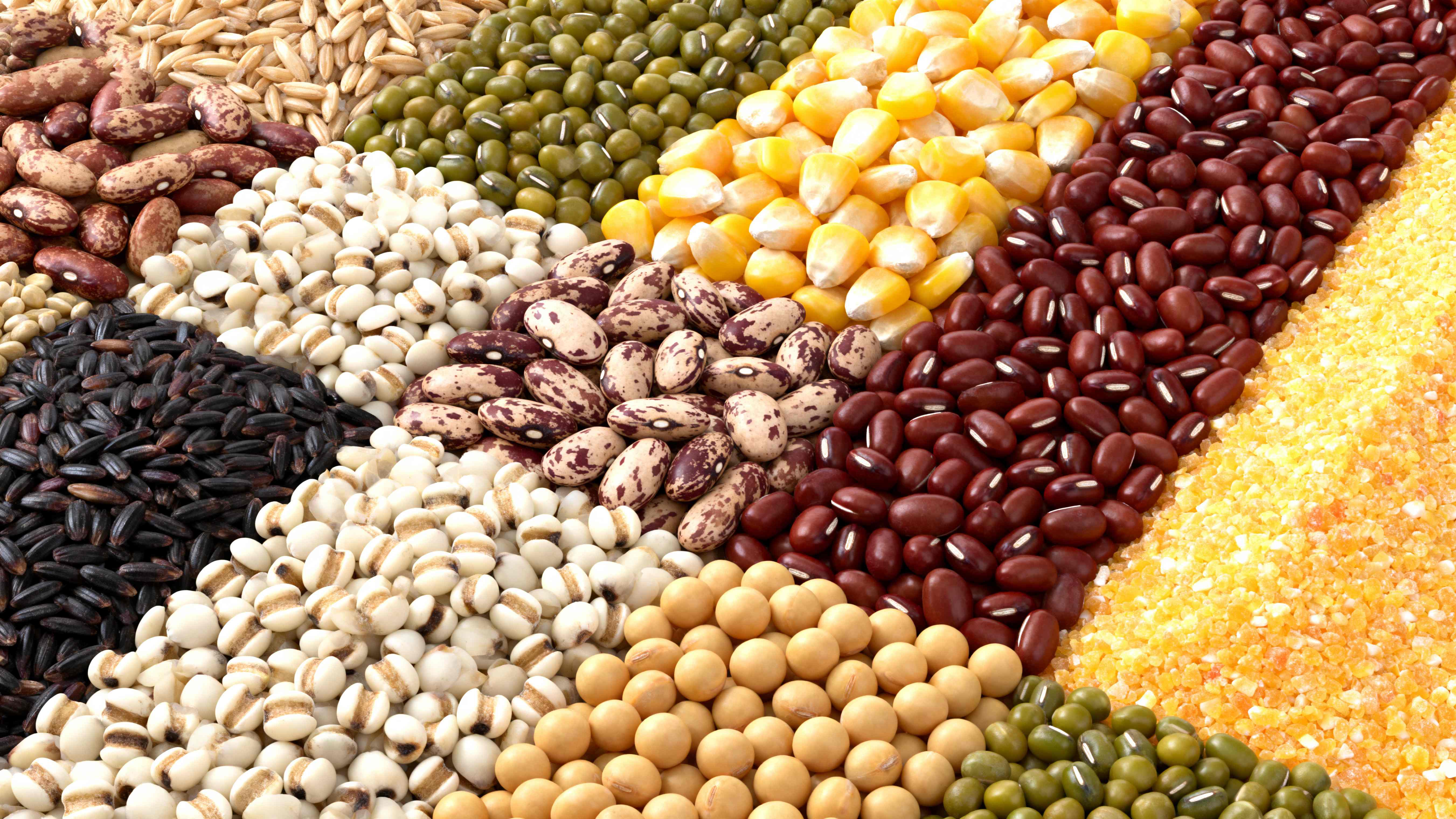 探寻BHH德耀真营养原装实力好物